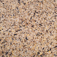 GIMPEL-EXCELLENT-4KG-DAILY BIRDS