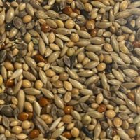 WELLENSITTICHFUTTER-SUPER-ZUCHT-20KG-WELLENSITTICH-EXTRA-FEINE-SAMEN-AUFZUCHT-DAILY BIRDS