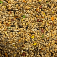 TROPISCH SPECIAL-4KG-PRACHTVINKEN-ZEBRAVINKEN-GOULD AMADINES-SPITSSTAARTEN