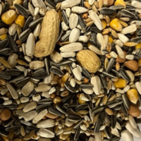 papegaaienvoer zaadmengeling