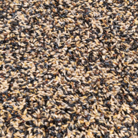 sijsjes en distelvinkvoer