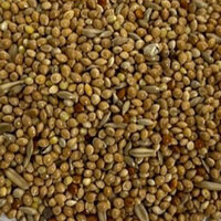 WELLENSITTICHFUTTER-SPEZIAL-4KG-SITTICH