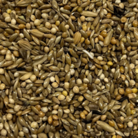 GROOT PARKIET EXCELLENT