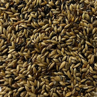 GESTELL-KANAARIENVOGELSAAT-20KG-OHNE-RAPSSAAT-ZUCHT-KEINE-FARBPIGMENTIERUNG