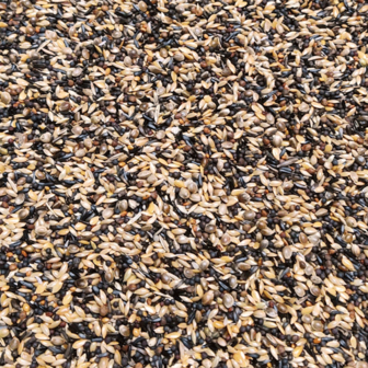 sijsjes en distelvinkvoer