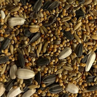 valkparkietzaad daily ronoche