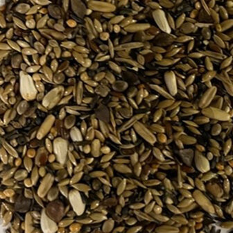 wildzangzaad daily ronoche