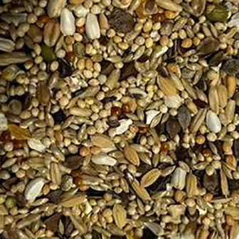 neophema groot parkiet daily