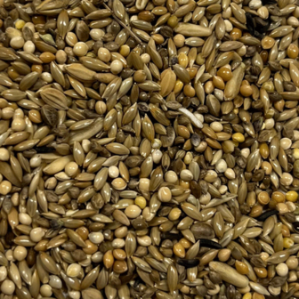 grasparkiet daily ronoche