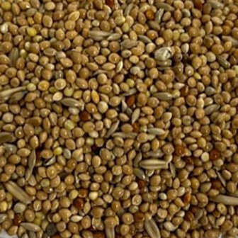 GRASPARKIETENZAAD SPECIAAL-4KG-PARKIET