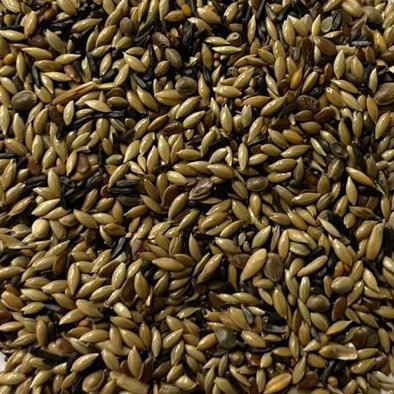 GESTELL-KANAARIENVOGELSAAT-20KG-OHNE-RAPSSAAT-ZUCHT-KEINE-FARBPIGMENTIERUNG