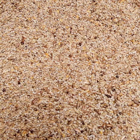 DAILY-BIRDS-CARDUELIS-GOLD-EXCELLENT-4KG-FINKENARTIGEN-INNENZUCHT