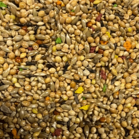 TROPISCH SPECIAL-4KG-PRACHTVINKEN-ZEBRAVINKEN-GOULD AMADINES-SPITSSTAARTEN