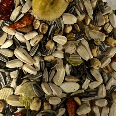 papegaaienvoer daily