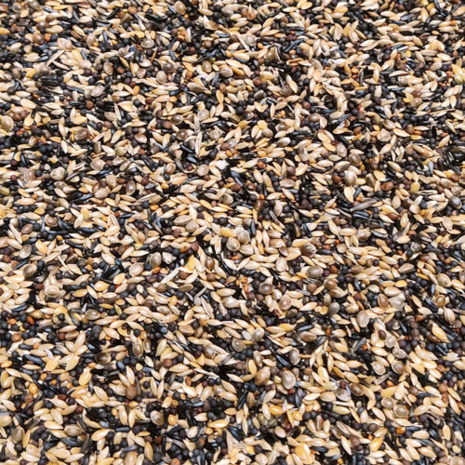 sijsjes en distelvinkvoer