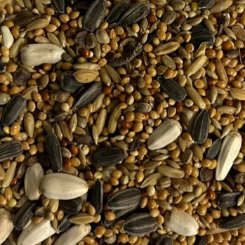 valkparkietzaad daily ronoche