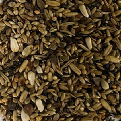 wildzangzaad zonder raapzaad