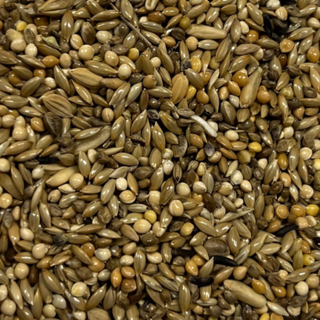 grasparkiet zaad excelent